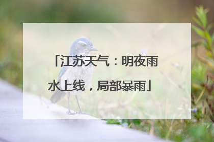 江苏天气：明夜雨水上线，局部暴雨