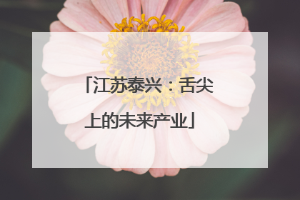 江苏泰兴：舌尖上的未来产业