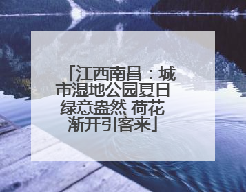 江西南昌：城市湿地公园夏日绿意盎然 荷花渐开引客来
