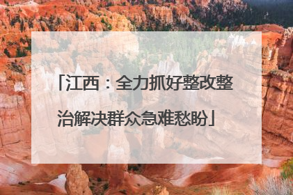 江西：全力抓好整改整治解决群众急难愁盼