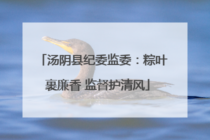 汤阴县纪委监委：粽叶裹廉香 监督护清风