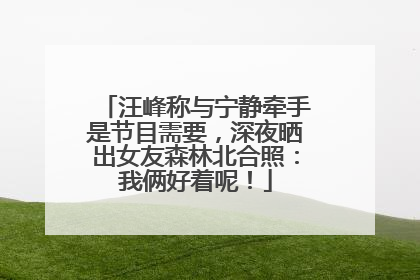 汪峰称与宁静牵手是节目需要，深夜晒出女友森林北合照：我俩好着呢！