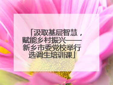 汲取基层智慧，赋能乡村振兴——新乡市委党校举行选调生培训课