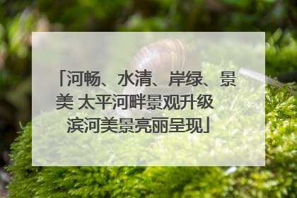 河畅、水清、岸绿、景美 太平河畔景观升级 滨河美景亮丽呈现
