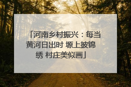 河南乡村振兴：每当黄河日出时 塬上披锦绣 村庄美似画