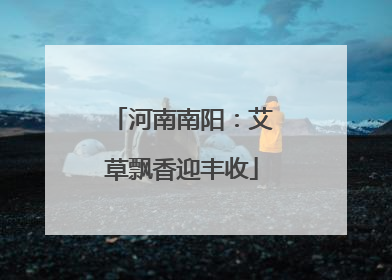 河南南阳：艾草飘香迎丰收