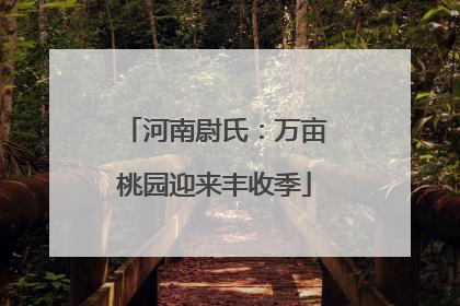 河南尉氏：万亩桃园迎来丰收季