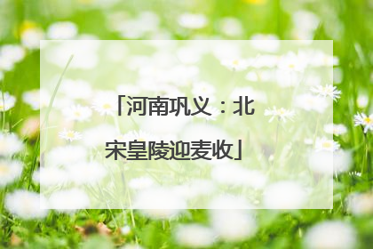 河南巩义：北宋皇陵迎麦收