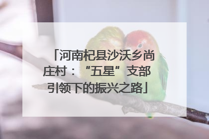 河南杞县沙沃乡尚庄村：“五星”支部引领下的振兴之路