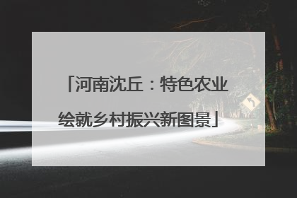 河南沈丘：特色农业绘就乡村振兴新图景