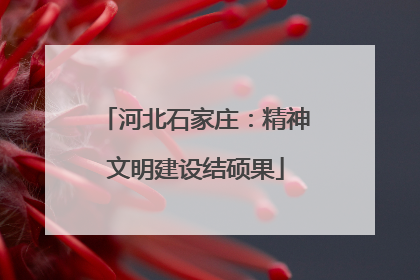 河北石家庄：精神文明建设结硕果
