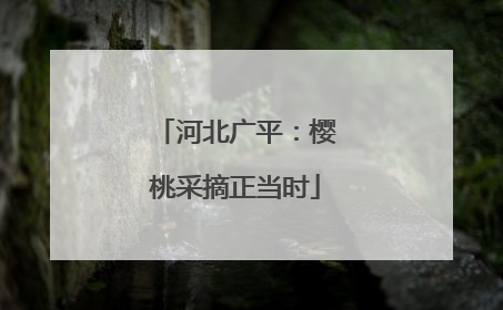 河北广平：樱桃采摘正当时