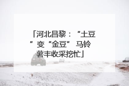 河北昌黎：“土豆”变“金豆” 马铃薯丰收采挖忙
