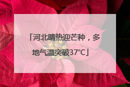 河北晴热迎芒种，多地气温突破37℃