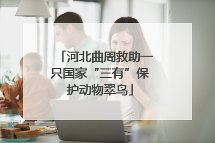 河北曲周救助一只国家“三有”保护动物翠鸟