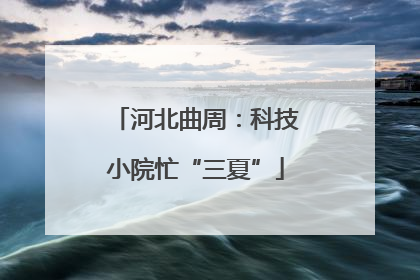 河北曲周：科技小院忙“三夏”