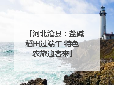 河北沧县：盐碱稻田过端午 特色农旅迎客来