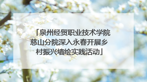 泉州经贸职业技术学院慈山分院深入永春开展乡村振兴墙绘实践活动