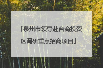 泉州市领导赴台商投资区调研重点招商项目