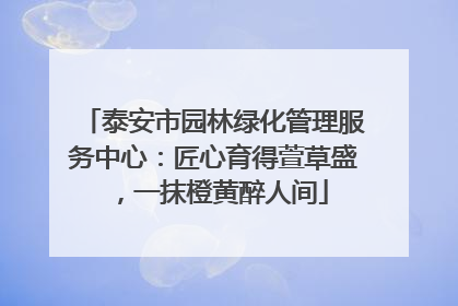 泰安市园林绿化管理服务中心：匠心育得萱草盛，一抹橙黄醉人间