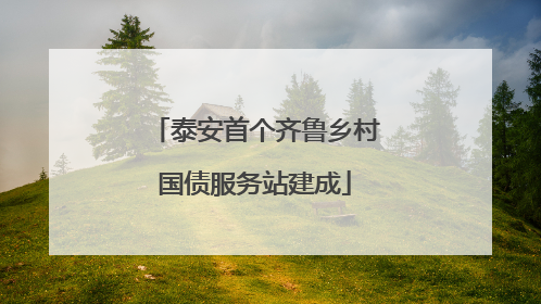 泰安首个齐鲁乡村国债服务站建成