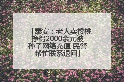泰安：老人卖樱桃挣得2000余元被孙子网络充值 民警帮忙联系退回