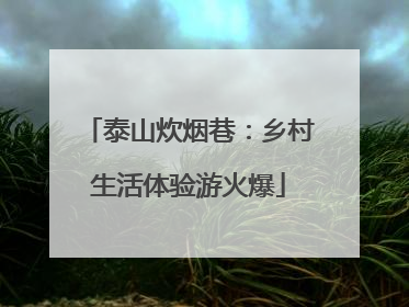 泰山炊烟巷：乡村生活体验游火爆