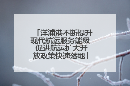 洋浦港不断提升现代航运服务能级 促进航运扩大开放政策快速落地