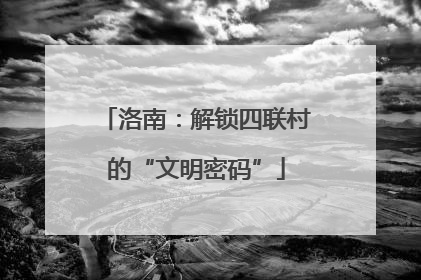 洛南：解锁四联村的“文明密码”