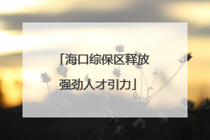 海口综保区释放强劲人才引力