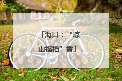 海口：“琼山福稻”香