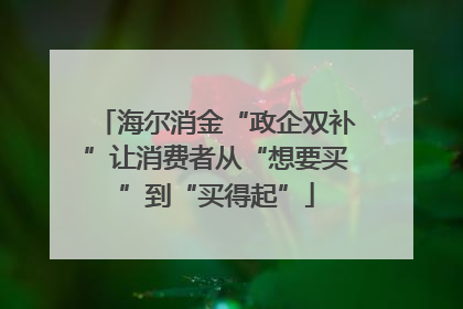 海尔消金“政企双补”让消费者从“想要买”到“买得起”