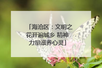 海沧区：文明之花开遍城乡 精神力量滋养心灵