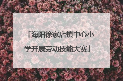 海阳徐家店镇中心小学开展劳动技能大赛