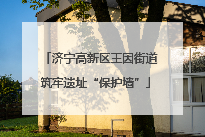 济宁高新区王因街道筑牢遗址“保护墙”