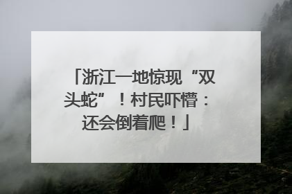 浙江一地惊现“双头蛇”！村民吓懵：还会倒着爬！