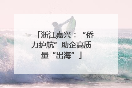 浙江嘉兴：“侨力护航”助企高质量“出海”