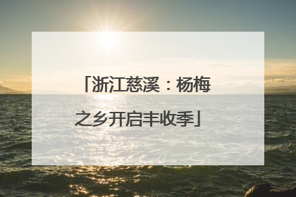 浙江慈溪：杨梅之乡开启丰收季