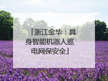 浙江金华：具身智能机器人巡电网保安全