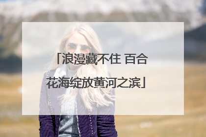 浪漫藏不住 百合花海绽放黄河之滨