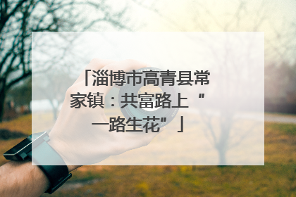淄博市高青县常家镇：共富路上“一路生花”