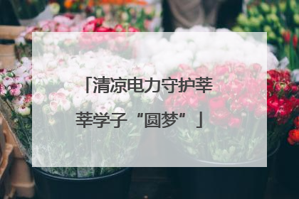 清凉电力守护莘莘学子“圆梦”