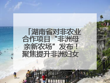 湖南省对非农业合作项目“非洲母亲新农场”发布！聚焦提升非洲妇女能力与家庭福祉