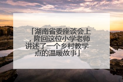 湖南省委座谈会上，隆回这位小学老师讲述了一个乡村教学点的温暖故事