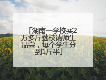 湖南一学校买2万多斤荔枝请师生品尝，每个学生分到1斤半