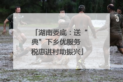 湖南娄底：送“典”下乡优服务 税惠进村助振兴