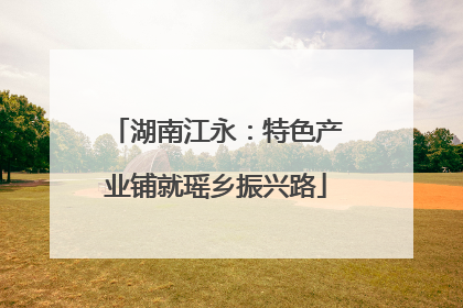 湖南江永：特色产业铺就瑶乡振兴路