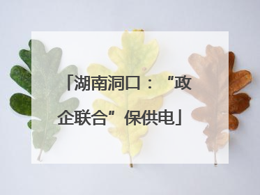 湖南洞口：“政企联合”保供电