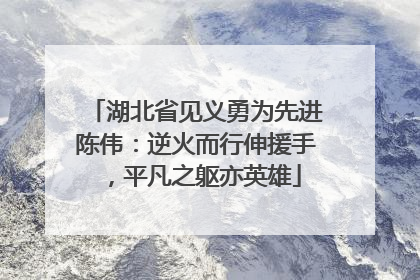 湖北省见义勇为先进陈伟：逆火而行伸援手，平凡之躯亦英雄