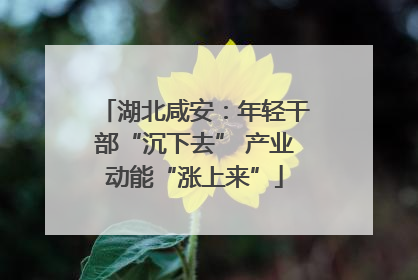 湖北咸安：年轻干部“沉下去” 产业动能“涨上来”